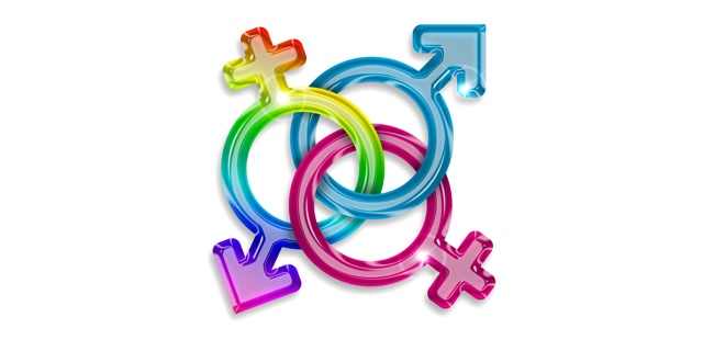 Gay Lesbian Role-play